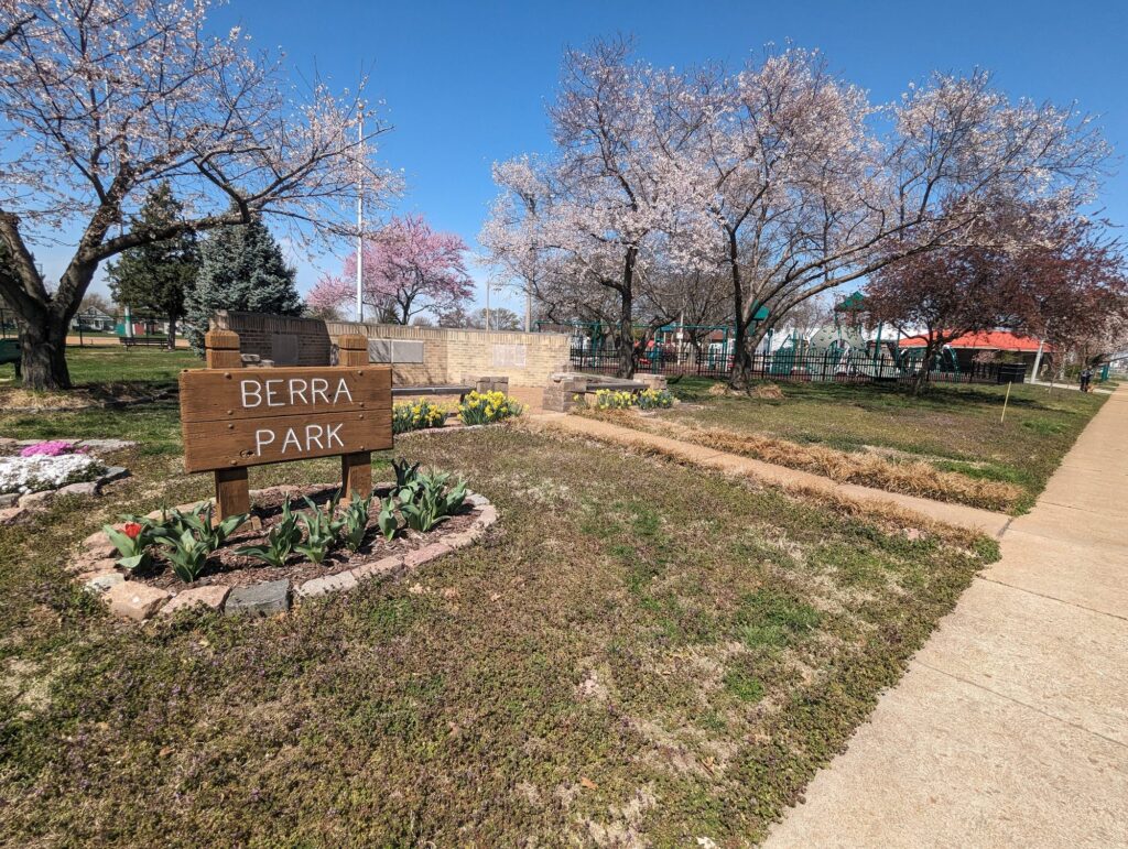 Spring blossoms in Berra Park